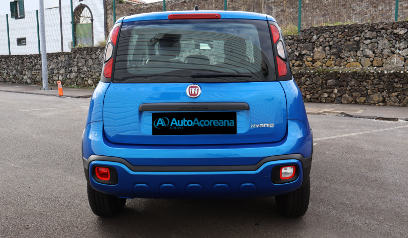 
								Fiat Panda Cross full									